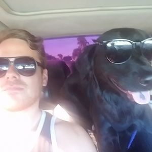 Meet your Posher, Devon